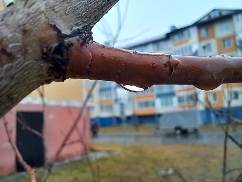 Предупреждение о неблагоприятных погодных условиях в Татарстане