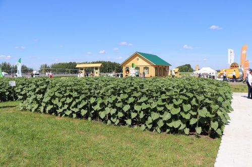 В Лаишевском районе открылась международная выставка «Агроволга-2026»
