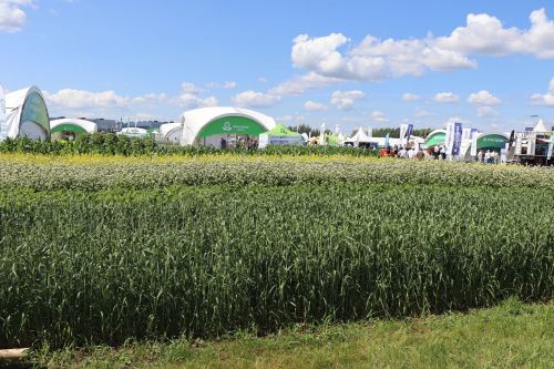 В Лаишевском районе открылась международная выставка «Агроволга-2026»