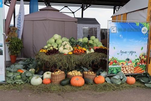 Лаишевский район становится центром притяжения для агробизнеса