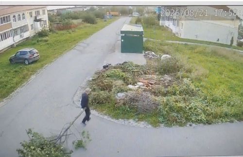Чүплекләрне хәзер видеокамералар күзәтә