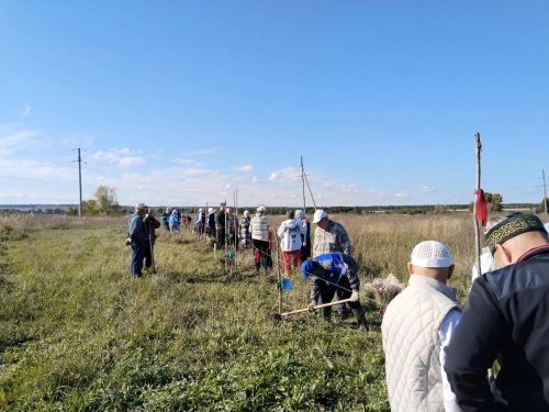 Новая зелёная аллея  появилась в селе  Именьково
