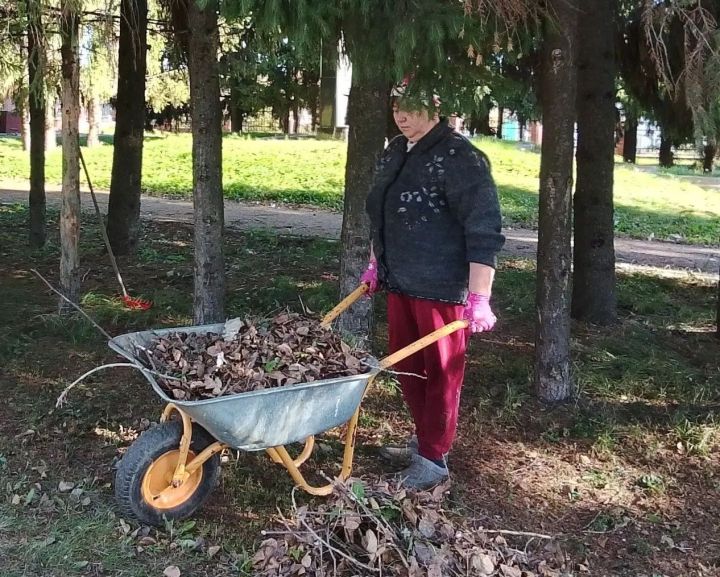 Сотрудники СДК Среднего Девятова вышли на осенний субботник