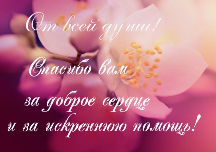 Благодарю коллектив Лаишевской школы №2