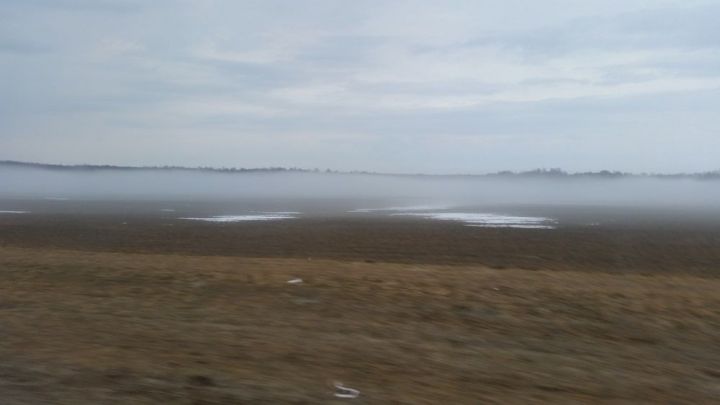 На Лаишевский район опустился сильный туман