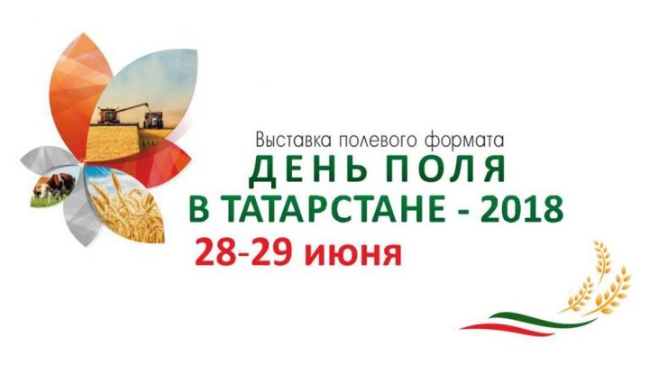Завтра откроется выставка полевого формата «День поля в Татарстане 2018»
