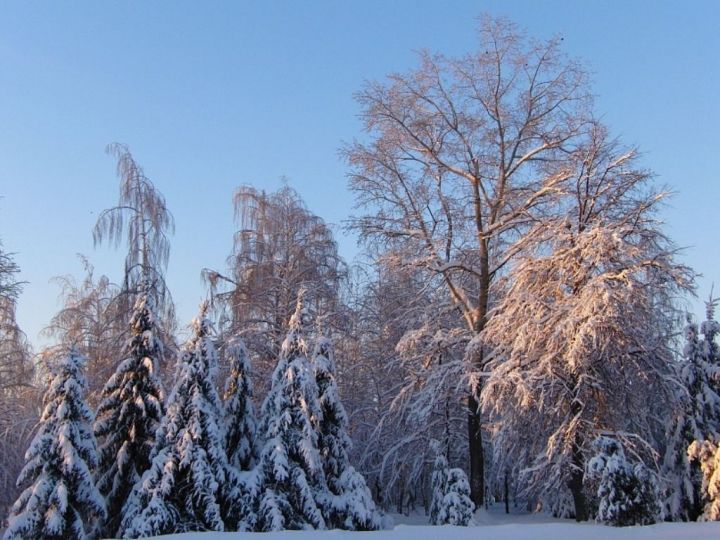 Погода на последний понедельник 2019 года