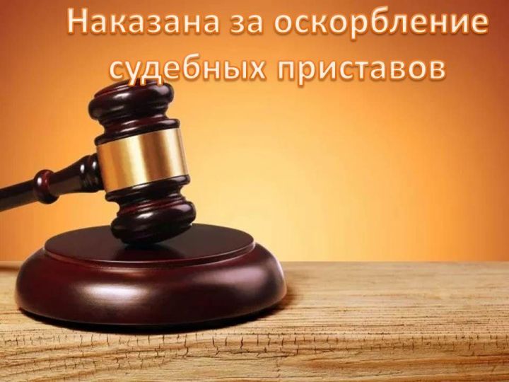 Жительница Лаишевского района наказана за оскорбление судебных приставов