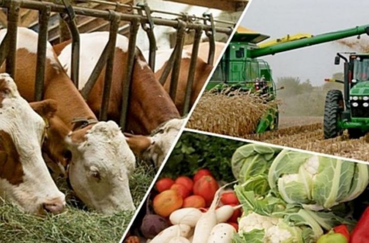 Полномочия председателей сельхозкооперативов планируют расширить