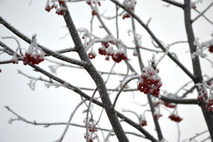 В Лаишево ожидается сильный снег, метель и заносы на дорогах