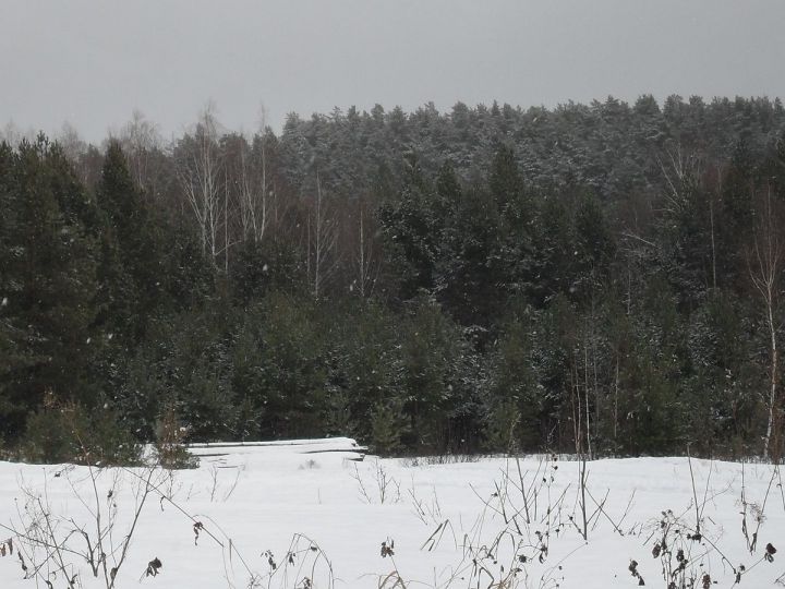 В пятницу жителей Лаишевского района ждут метель и мокрый снег
