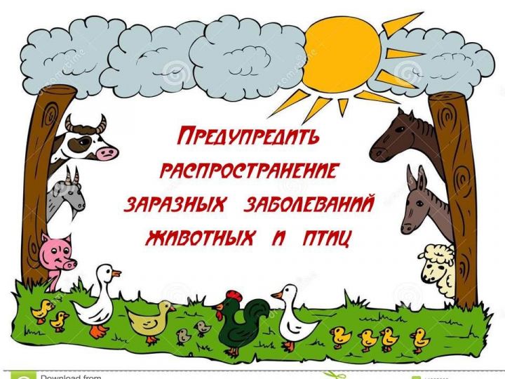 Как сезон продаж сельхозпродукции связан с распространением заразных заболеваний животных и птиц