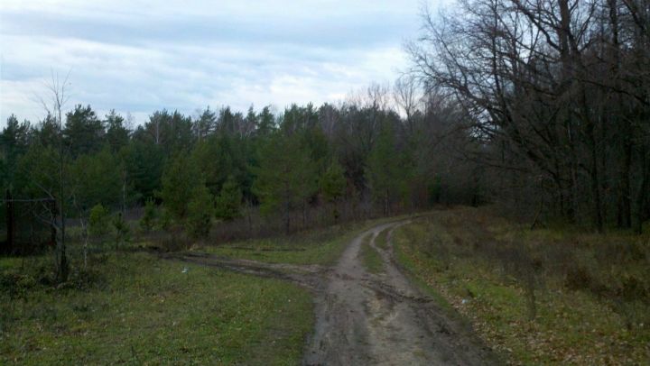 В Лаишевском районе на Первомай похолодает