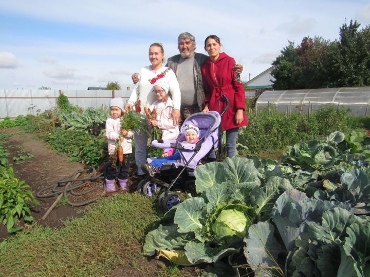 Лаишевскому району выделили семена для поддержки многодетных семей
