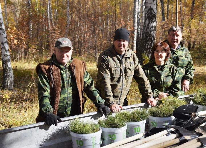 В Лаишевском районе радеют за сохранение леса