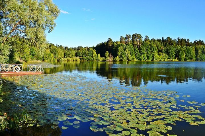 Внутренний туризм через социальные сети:  конкурc ЭкоLife