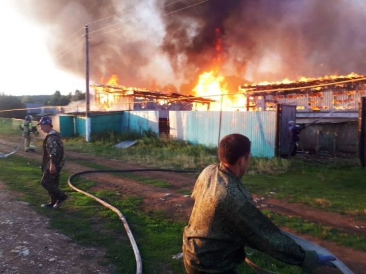 Ситуация с пожарами в Татарстане остается напряженной