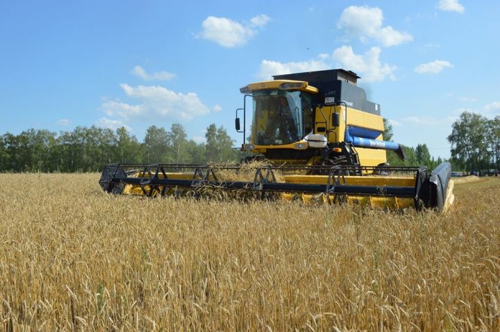В сфере сельского хозяйства Татарстана больше всего востребованы механизаторы
