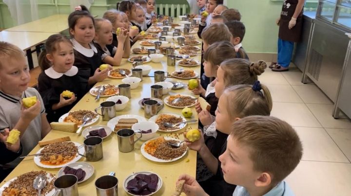 В Лаишевской гимназии №1 проверили качество питания