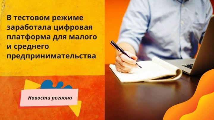 Для малых и средних предпринимателей созданы сервисы Цифровой платформы