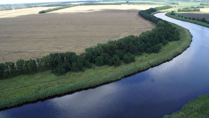 В Татарстане заложат водоохранные лесные насаждения вдоль берегов Волги и Камы