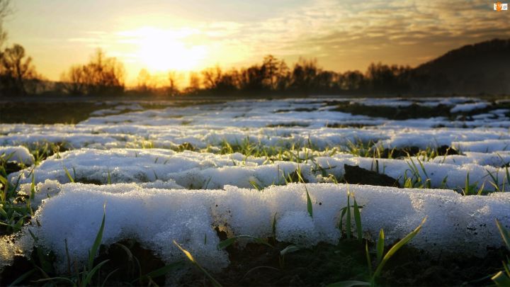 Фитомониторинг в Татарстане: в республике на 7 апреля покрытость полей снегом составляла от 60 до 100%