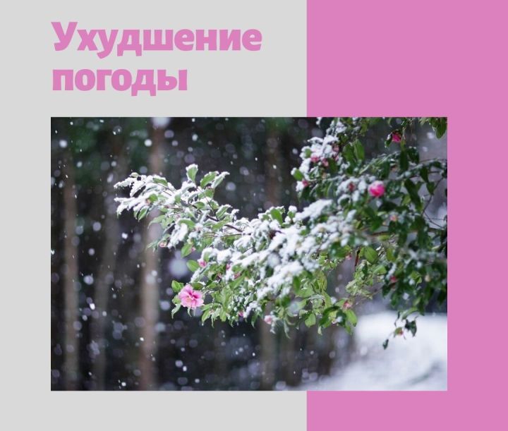 В Лаишевском районе 18 апреля ожидается мокрый снег