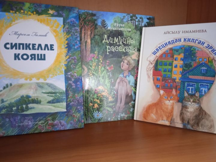Фонды библиотек Лаишевского района пополнились новой литературой