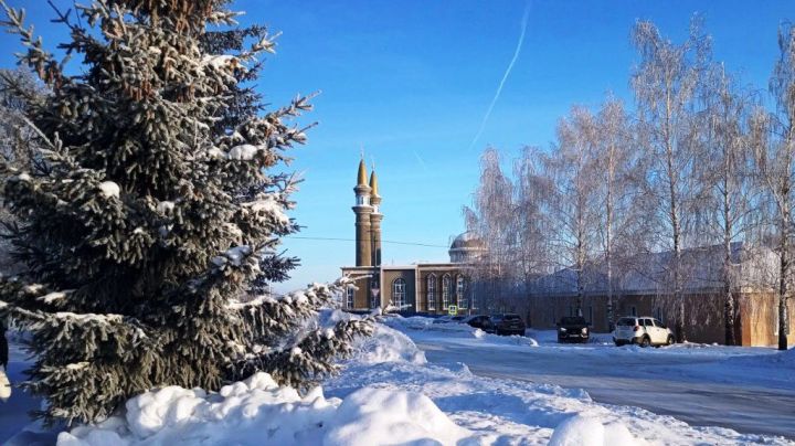 Фото читателя. Утро, снег, хрустально-бирюзовый купол неба