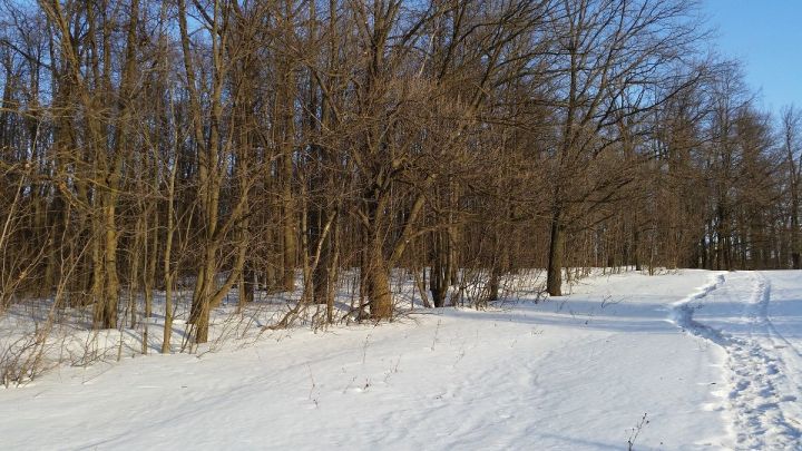 Сегодня в Лаишевском районе похолодает