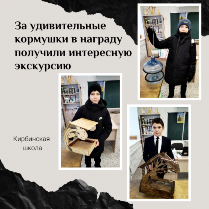 Кирбинских школьников отметили сертификатом за оригинальные кормушки