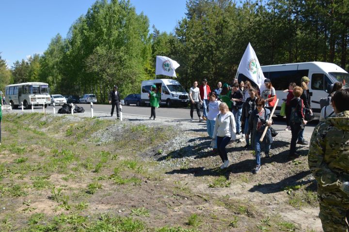 Сегодня в Татарстане в пятый раз проходит  Всероссийская акция «Сохраним лес»