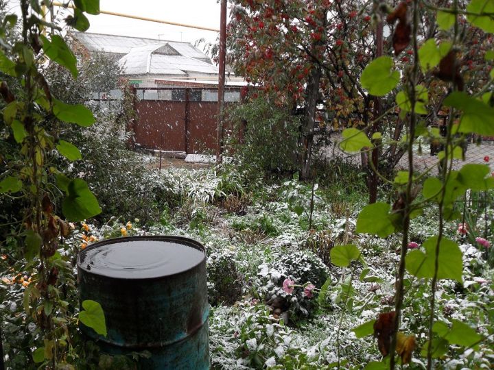 Завтра в Лаишевском районе ожидаются ветер, мокрый снег и гололед