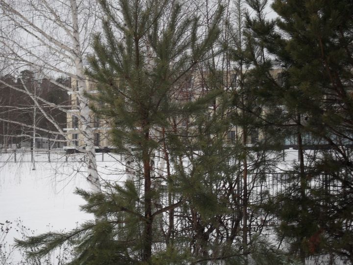В пятницу в Лаишевском районе осадков не ожидается, но возможен сильный ветер