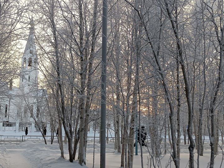 Город, птицы, снег  - совсем скоро все это станет историей, оставшейся в 2023 году