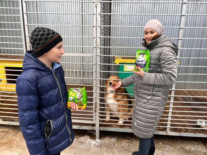 Учащиеся Габишевской школы Лаишевского района помогли приюту для животных