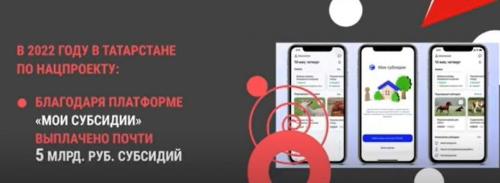 По нацпроектам 78 небольших сел обеспечат скоростным Интернетом