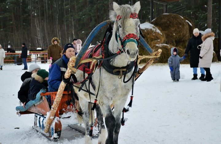 Язны “Рассвет” атлар клубында каршы алдылар