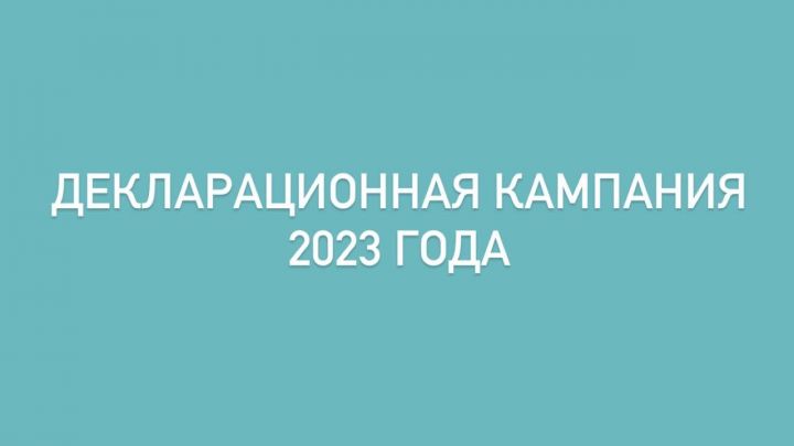 Декларационная кампания 2023 года
