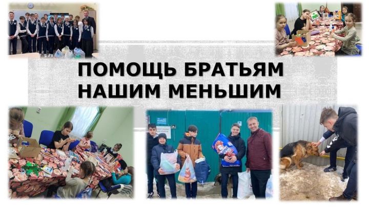 В Лаишевском районе детей учат оказывать помощь животным