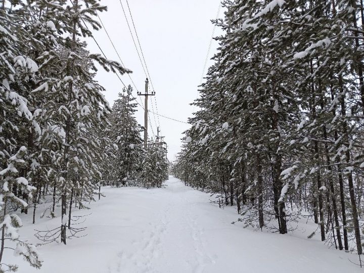 Городской парк, тишина, снег