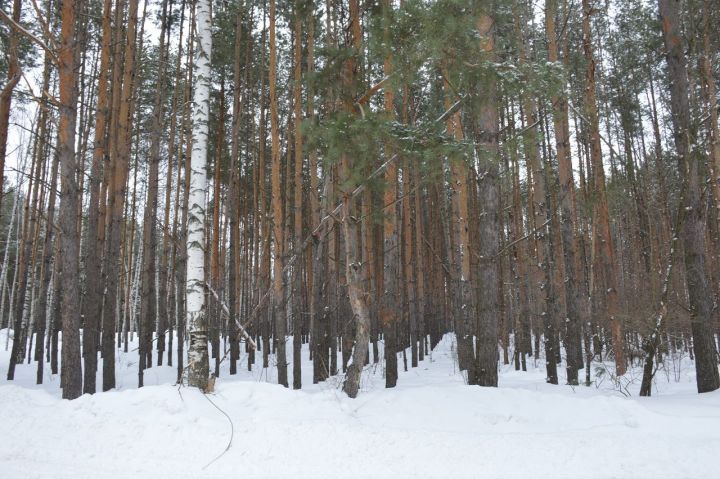 Завтра в Лаишевском районе ожидаются метель, гололед и снежная каша