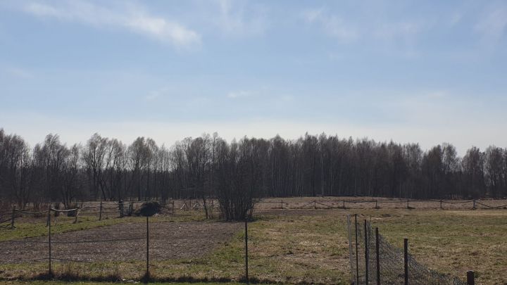 В Татарстане вводится ограничение на пребывание граждан в лесах