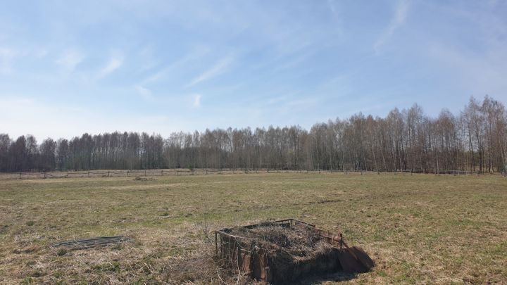 В четверг воздух в Лаишевском районе прогреется до 18 градусов