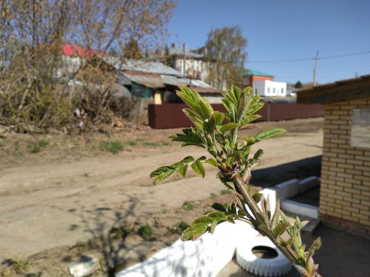 Прогноз погоды на 23 апреля 2023 года
