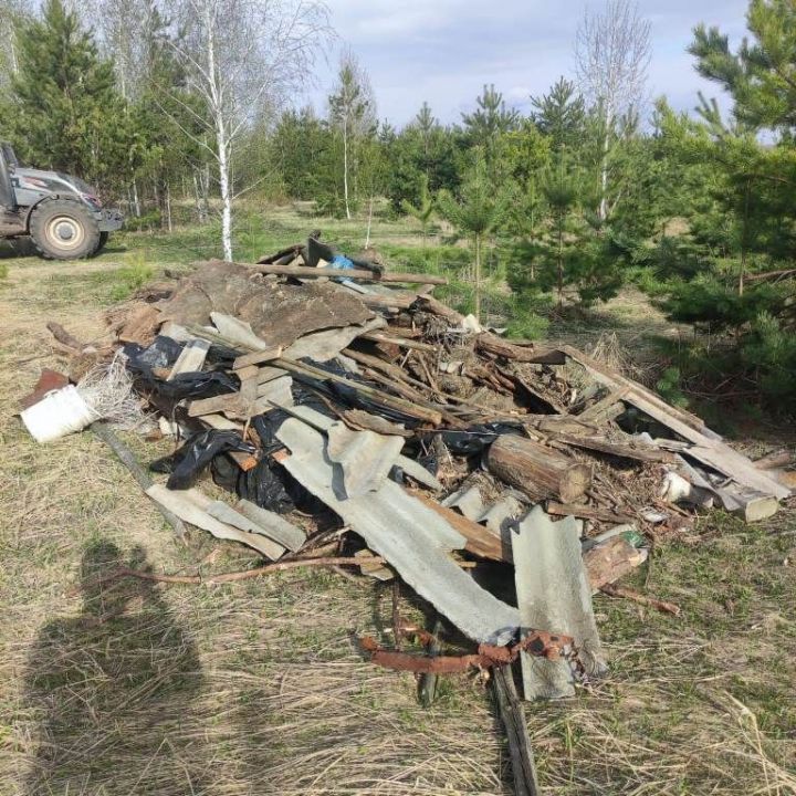 Кайдадыр тәртип урнаштыралар, ә кайдадыр чүплекләр булдыралар