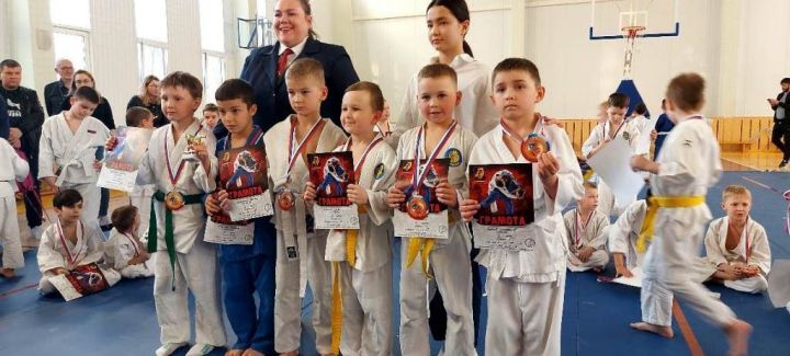 Шесть лаишевских дзюдоистов завоевали шесть медалей на турнире в Казани