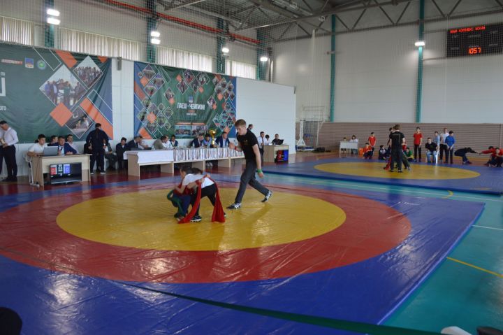 Сегодня в Усадах прошли лично-командные соревнования по корэш на кубок Главы Лаишевского района