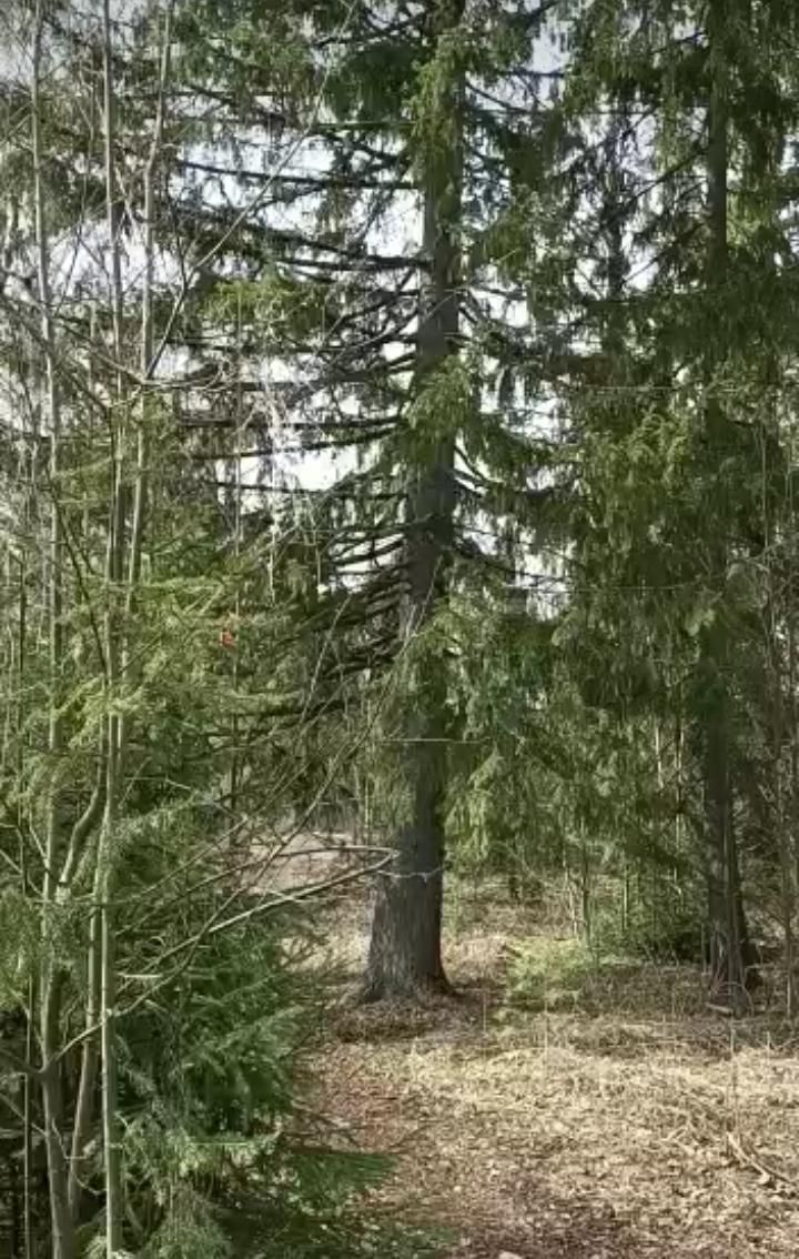 Акыллы фикерләр