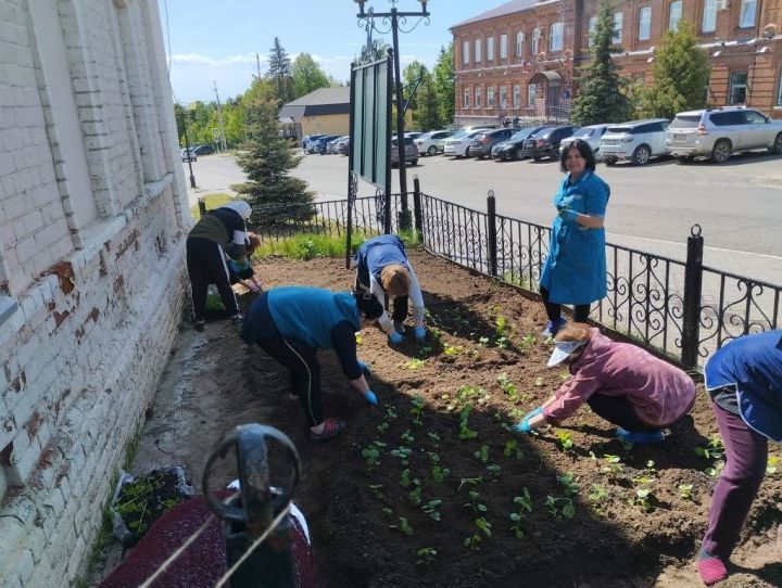 Ә Лаешта бүген өмә